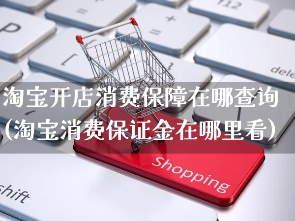 淘宝开店消费保障在哪查询(淘宝消费保证金在哪里看)_https://www.dczgxj.com_京东_第1张