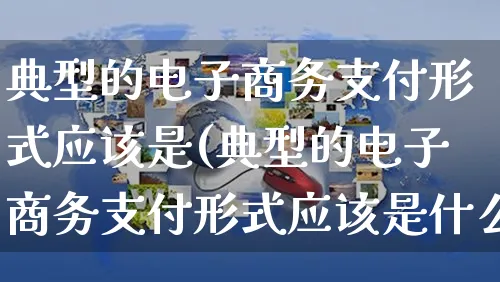 典型的电子商务支付形式应该是(典型的电子商务支付形式应该是什么)_https://www.dczgxj.com_运营模式_第1张