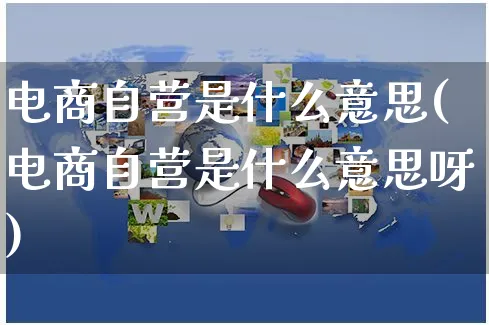 电商自营是什么意思(电商自营是什么意思呀)_https://www.dczgxj.com_海外抖音_第1张