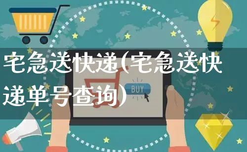 宅急送快递(宅急送快递单号查询)_https://www.dczgxj.com_电商工具推荐_第1张