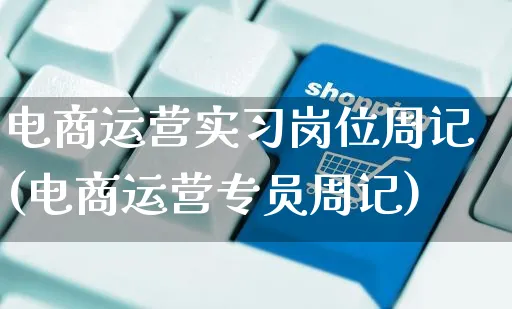 电商运营实习岗位周记(电商运营专员周记)_https://www.dczgxj.com_拼多多_第1张