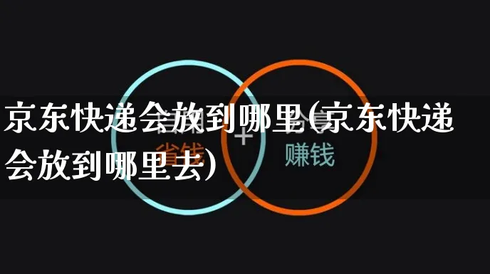 京东快递会放到哪里(京东快递会放到哪里去)_https://www.dczgxj.com_拼多多_第1张