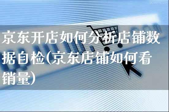 京东开店如何分析店铺数据自检(京东店铺如何看销量)_https://www.dczgxj.com_虾皮电商_第1张