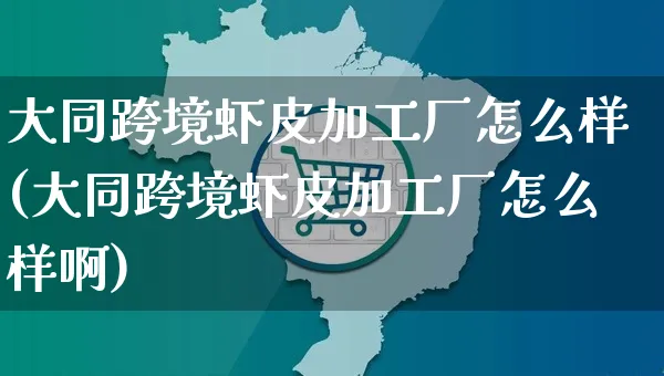 大同跨境虾皮加工厂怎么样(大同跨境虾皮加工厂怎么样啊)_https://www.dczgxj.com_虾皮电商_第1张