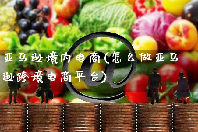 亚马逊境内电商(怎么做亚马逊跨境电商平台)_https://www.dczgxj.com_亚马逊电商_第1张