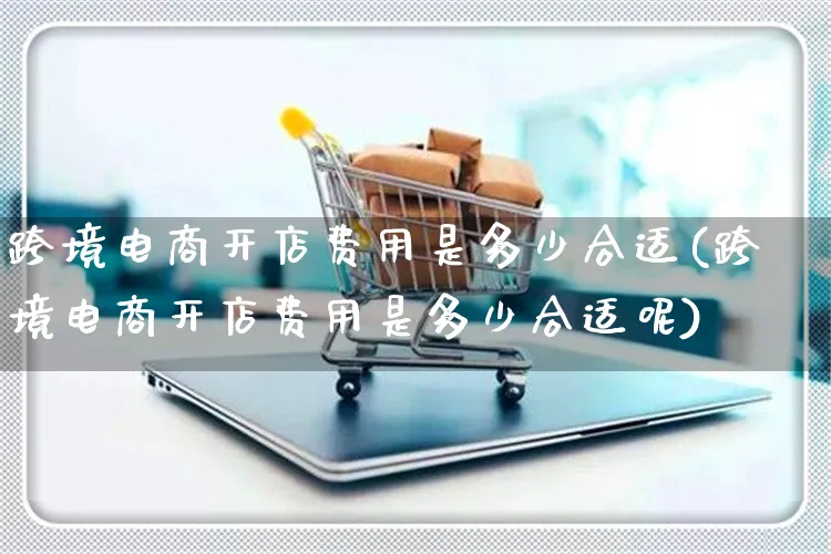 跨境电商开店费用是多少合适(跨境电商开店费用是多少合适呢)_https://www.dczgxj.com_淘宝_第1张