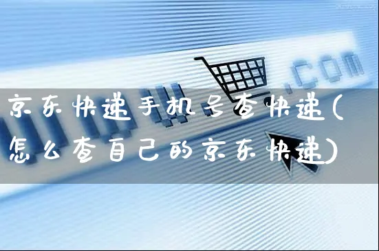 京东快递手机号查快递(怎么查自己的京东快递)_https://www.dczgxj.com_海外抖音_第1张