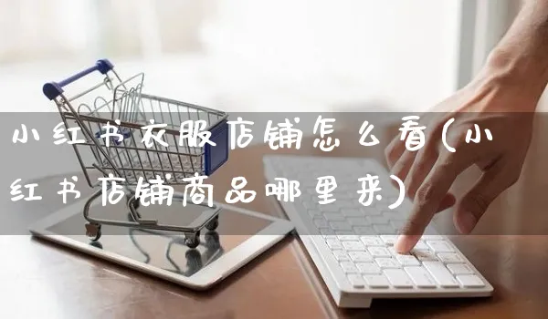 小红书衣服店铺怎么看(小红书店铺商品哪里来)_https://www.dczgxj.com_小红书_第1张