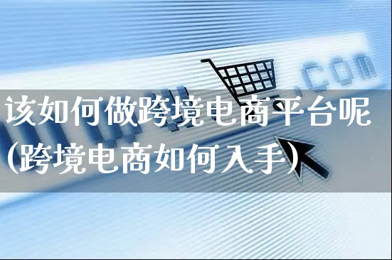 该如何做跨境电商平台呢(跨境电商如何入手)_https://www.dczgxj.com_运营模式/资讯_第1张