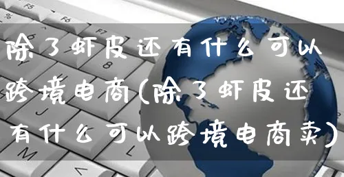 除了虾皮还有什么可以跨境电商(除了虾皮还有什么可以跨境电商卖)_https://www.dczgxj.com_虾皮电商_第1张