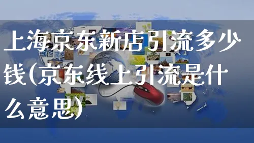 上海京东新店引流多少钱(京东线上引流是什么意思)_https://www.dczgxj.com_京东_第1张