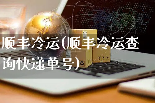 顺丰冷运(顺丰冷运查询快递单号)_https://www.dczgxj.com_运营模式_第1张