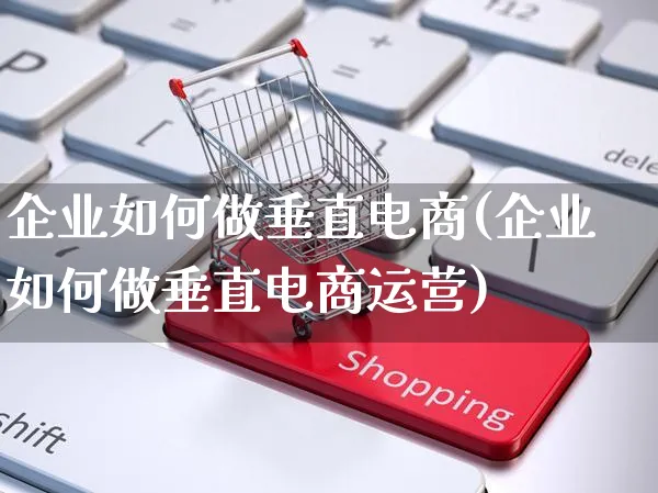 企业如何做垂直电商(企业如何做垂直电商运营)_https://www.dczgxj.com_运营模式/资讯_第1张